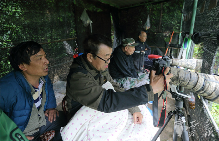 鸟塘主人在给鸟友介绍各种鸟的名称